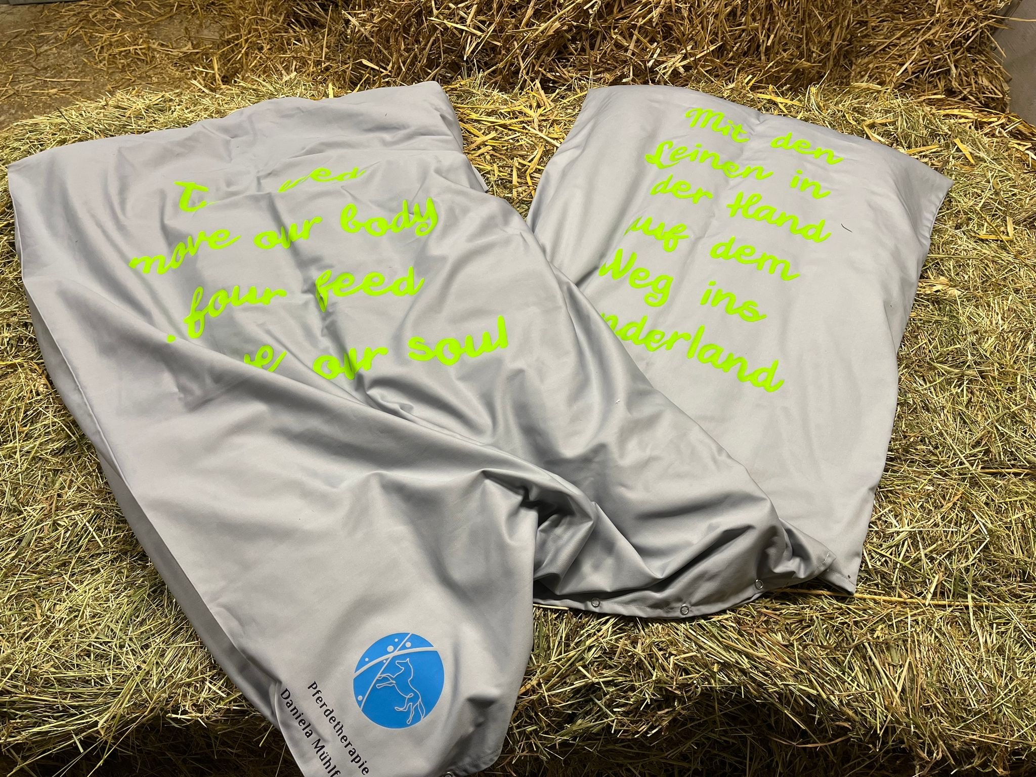 Galerie – Pferdewaage Einsatzbild 16