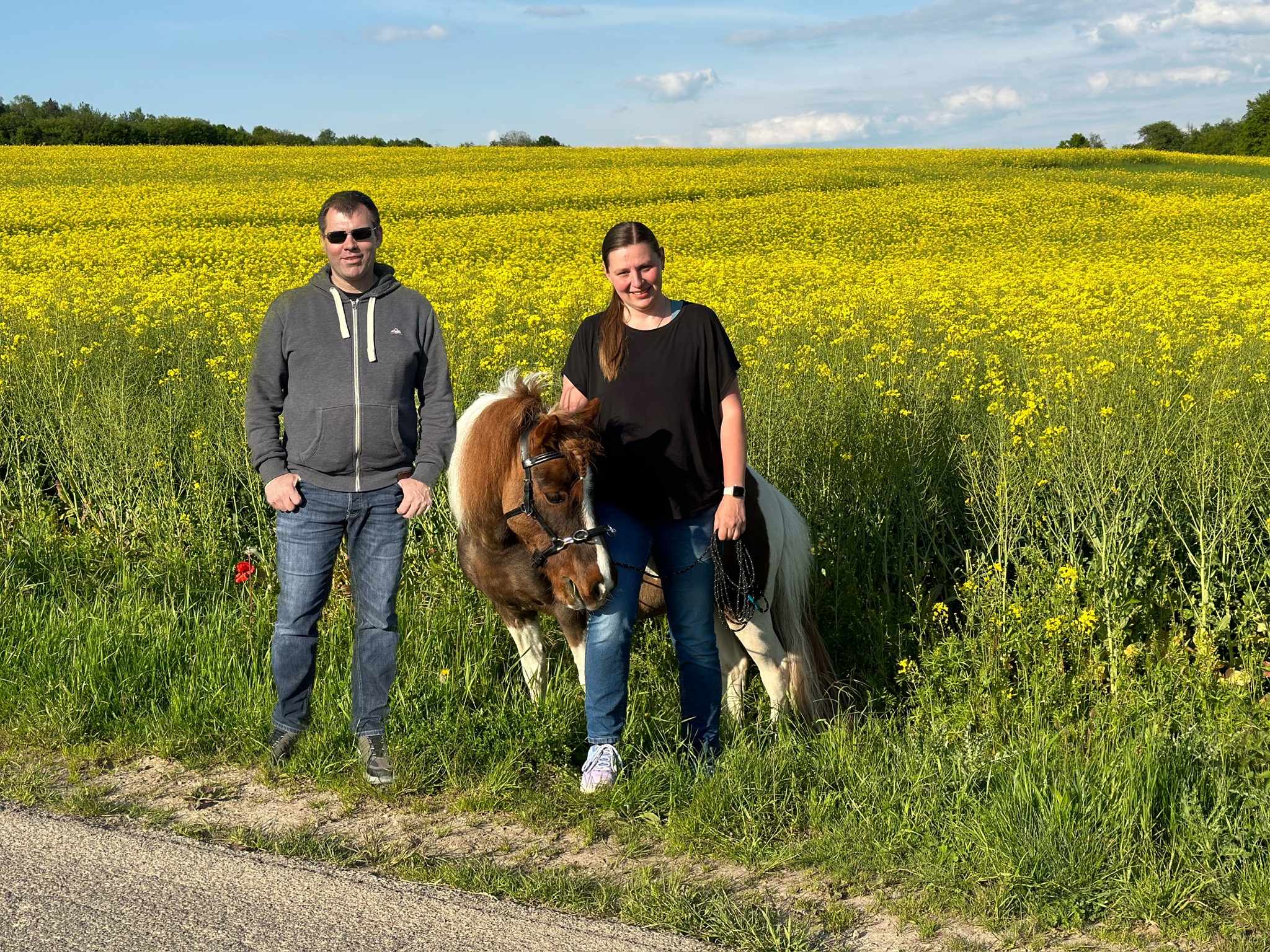 Shetty Klaus Pferdewaage – Familie mit Pony im Sauerland und Ruhrgebiet